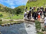 دود و قلیان در دل زیبایی‌های دوده‌ویل: هنگامه‌ای از تنش‌های نژادی و بی‌نظمی‌های اجتماعی