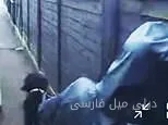 لحظة مدهشة: امرأة ترتدي قبعة تخرج من منزل العائلة مع كلب أثناء السرقة