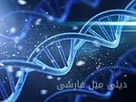 آیا DNA نشانهای از خالق هوشمند است؟