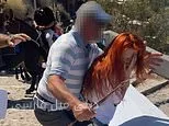 حملهٔ خشمگین مالک الاغ به فعال حقوق حیوانات در سانتورینی